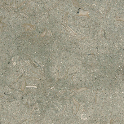 Olive Green Honed Limestone Tiles 12×12