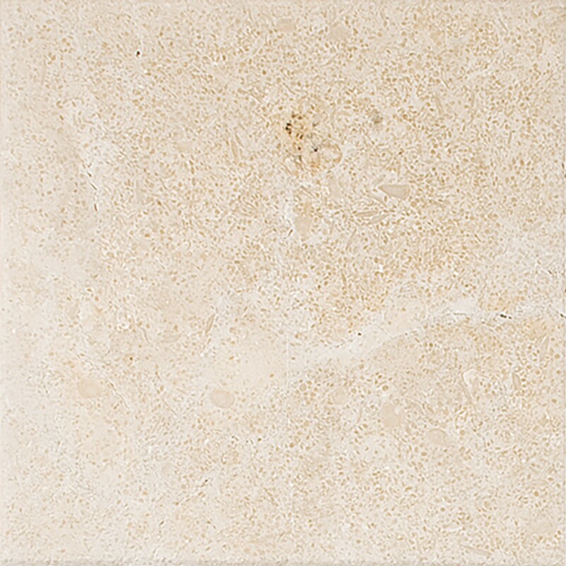 Seashell Honed Limestone Tiles 4×4
