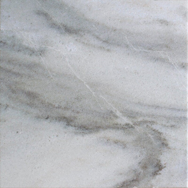 Palisandra Polished Marble Tile 12×12 Image