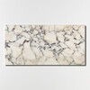 Calacatta Picasso Polished  Marble Tiles 12×24