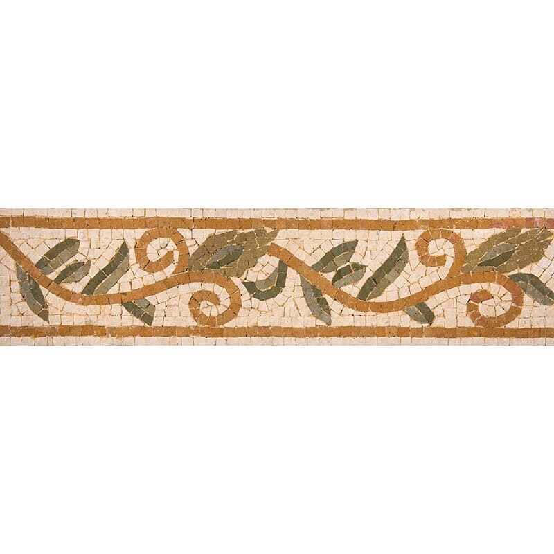 Plante Ou Fleur Honed Limestone Border Tiles 4×16