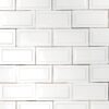 Royal White Glossy Ennis Ceramic Accent Tiles 3×6 (DC00233)