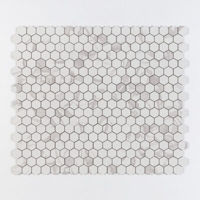Statu Polished Hexagon 2 Porcelain Mosaics 10 3/8×12