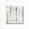 Calacatta Picasso, Calacatta Renaissance Honed Mod Stripes Marble Mosaics 12×12