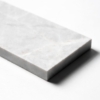 TL21681 Item Image