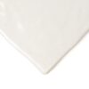 White Glazed Tiles 6×6 (TL80224)