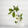 Satin Cotton Matte Zaragosa Ceramic Accent Tiles 3×6