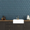 Maui Matte Hexagon 5 Glazed Terracotta Tiles 5×5
