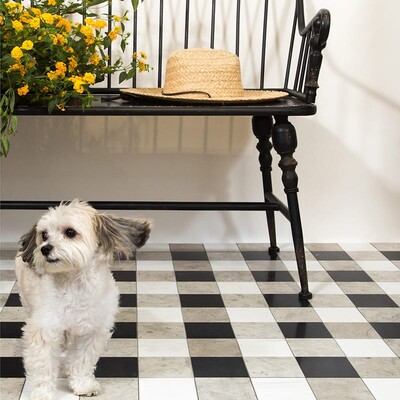 Britannia Light, Snow White, Black Honed 4×4 Limestone Mosaic 16×16 (MS01719)