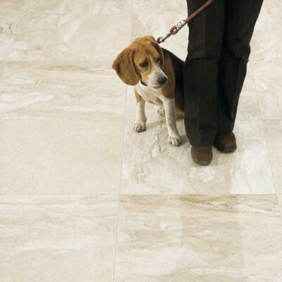Diana Royal Polished Marble Tile 18×18 (TL13738)
