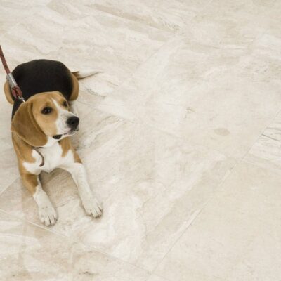 Diana Royal Honed Marble Tile 12×12 (TL14119)