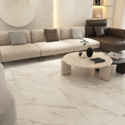 Statu Matte  Porcelain Tile 12×24 (TL20860)