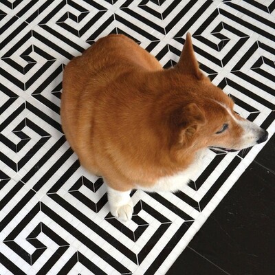 Justinian Dolomite, Nero Multi Finish Marble Waterjet Decos 16×16 (YNR10029)