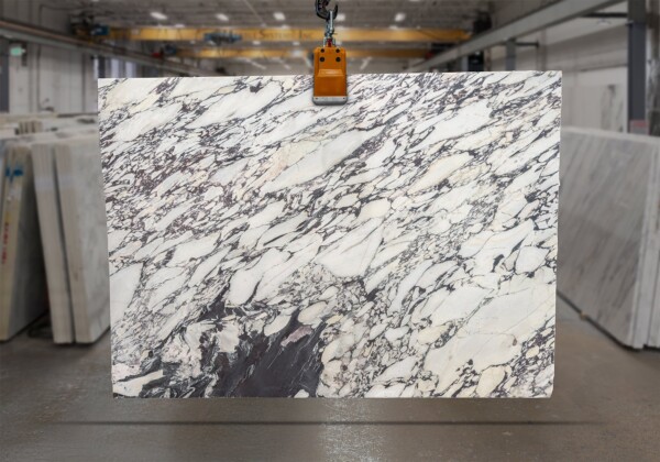 Calacatta Viola Honed Marble Slab 50778-1-3