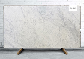 White Carrara C Supreme Honed Marble Slab