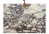 Calacatta Breccia Violetta Honed Marble Slab Random