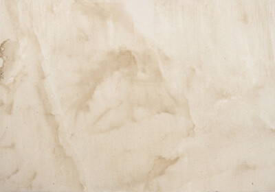New Crema Europa Honed Limestone Slab Random