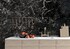 Black Levanto Polished Marble Slab Random