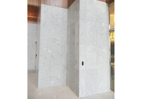 Camellia White Polished Granite Slab Random 1 1/4 (SL90433)