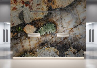 Patagonia Polished  Granite Slab Random (SL91096)