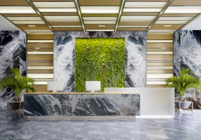 Vittara Crystal Polished  Quartzite Slab Random (SL91110)