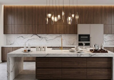 Le Blanc Polished Quartzite Slab Random (SL91442) Room Scene Image