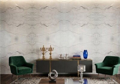 Le Blanc Polished Quartzite Slab Random (SL91442) Room Scene Image