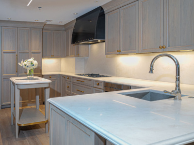 ritz-carlton residences-2